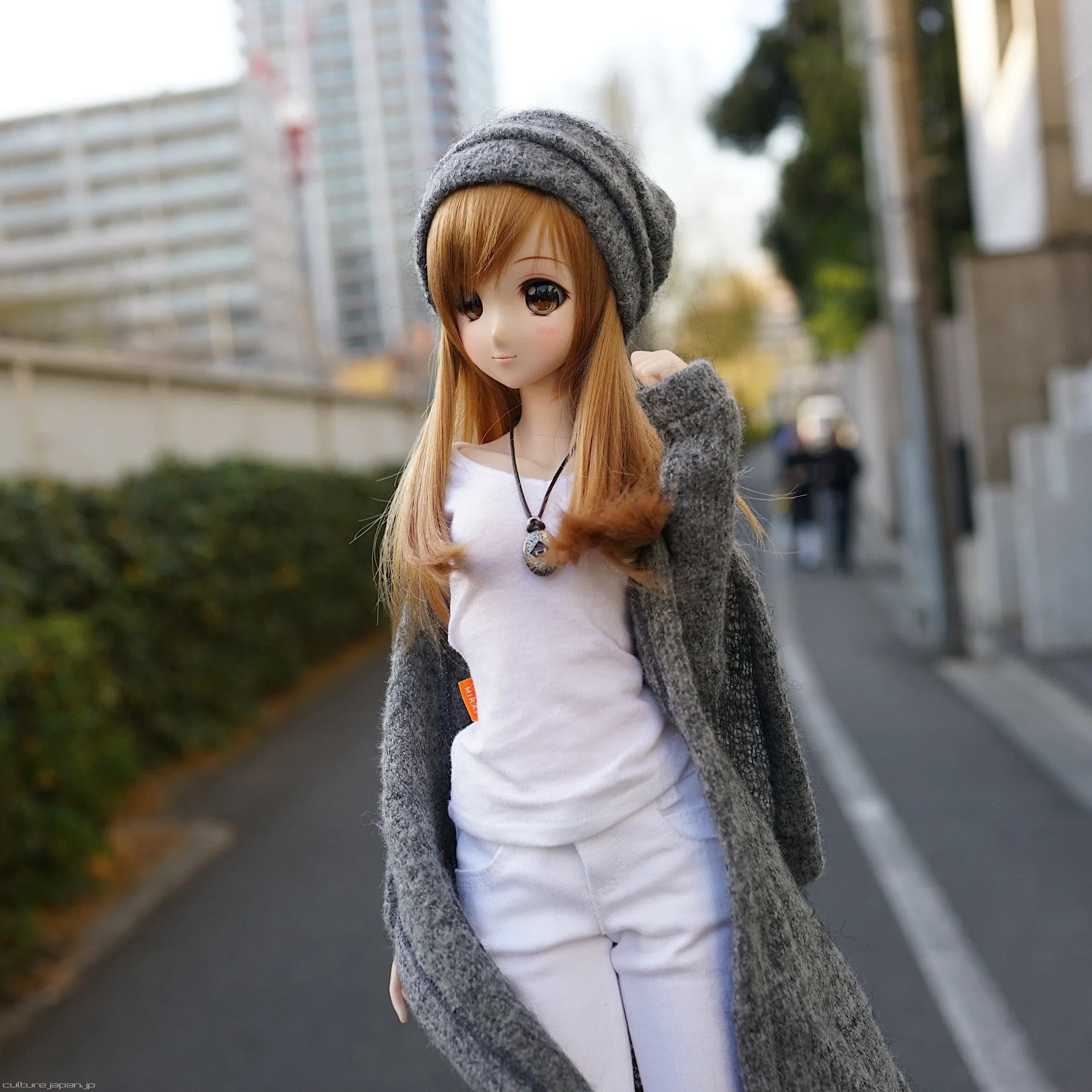 Hoodie Knit Coat (Gray)