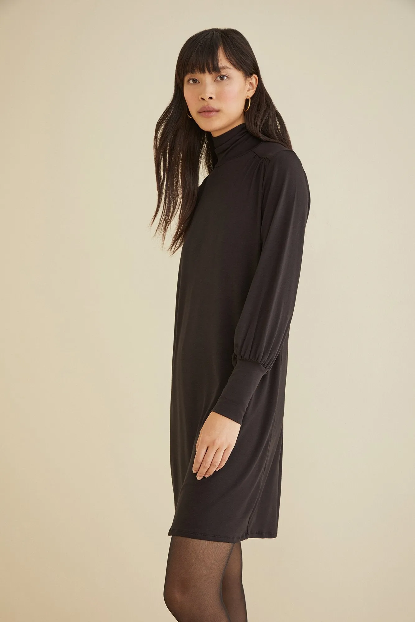 Kendall Turtleneck Dress