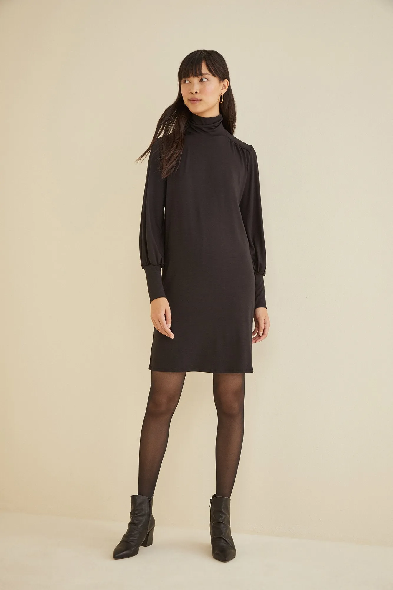 Kendall Turtleneck Dress